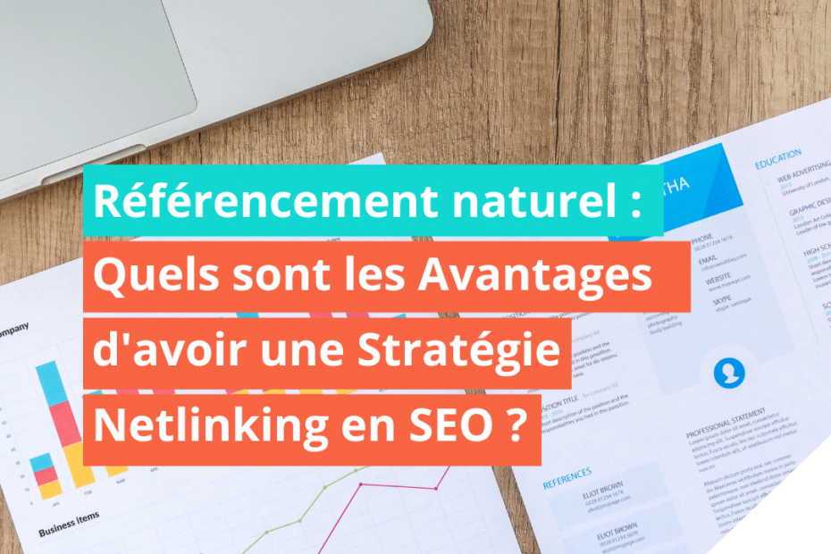 Quels sont les Avantages d’avoir une Stratégie Netlinking en SEO ?